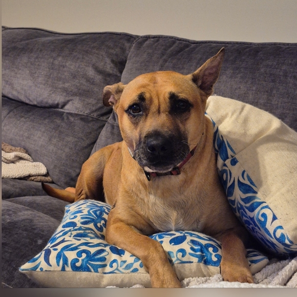 💖 March 16th 9:15 am Est Live Share Show Notification Share 1 LOW START - Picture 8 of 10